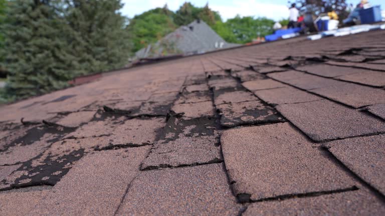 Best Emergency Roof Repair Services  in Kingsley, MI