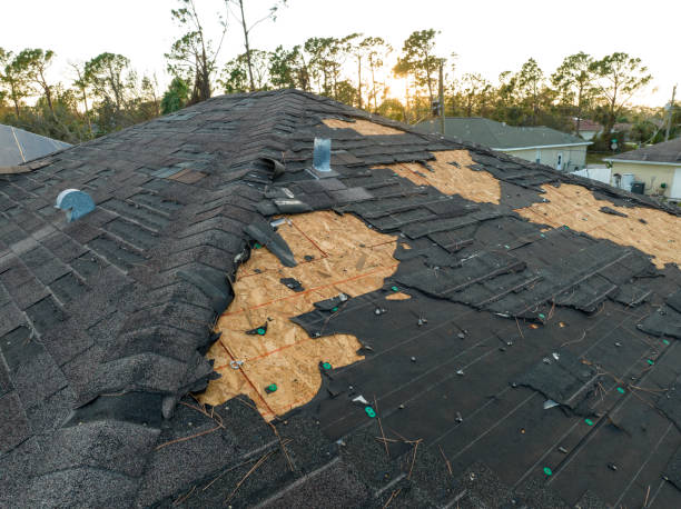 Trusted Kingsley, MI Roofing Experts