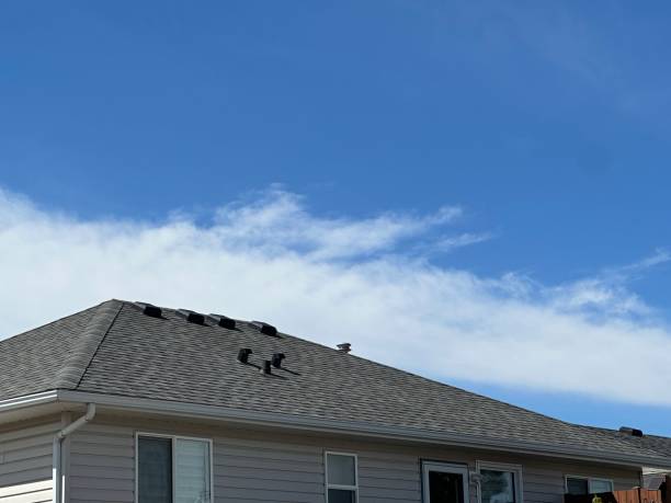 Best Sheet Metal Roofing  in Kingsley, MI